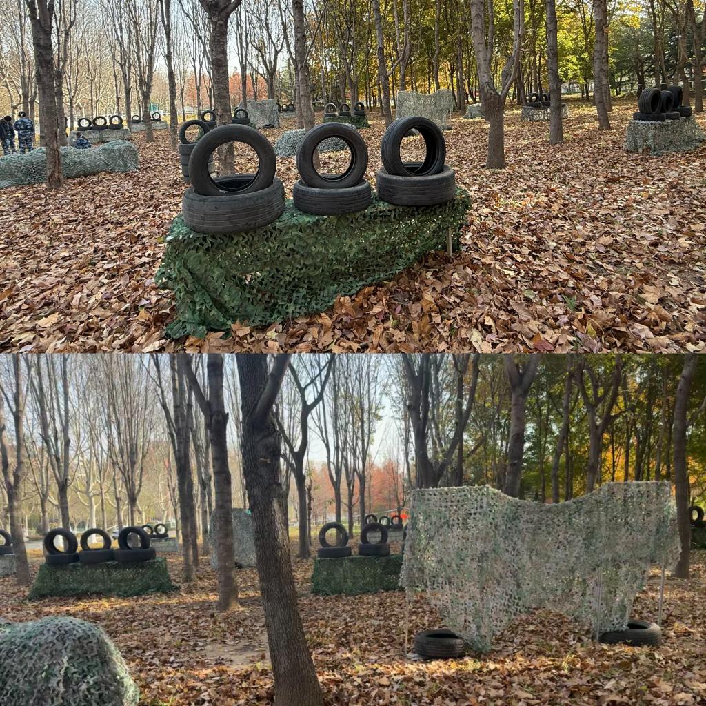 bevictor伟德官网