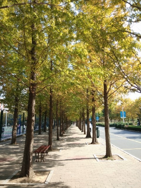 1557284334127115.jpg bevictor伟德官网