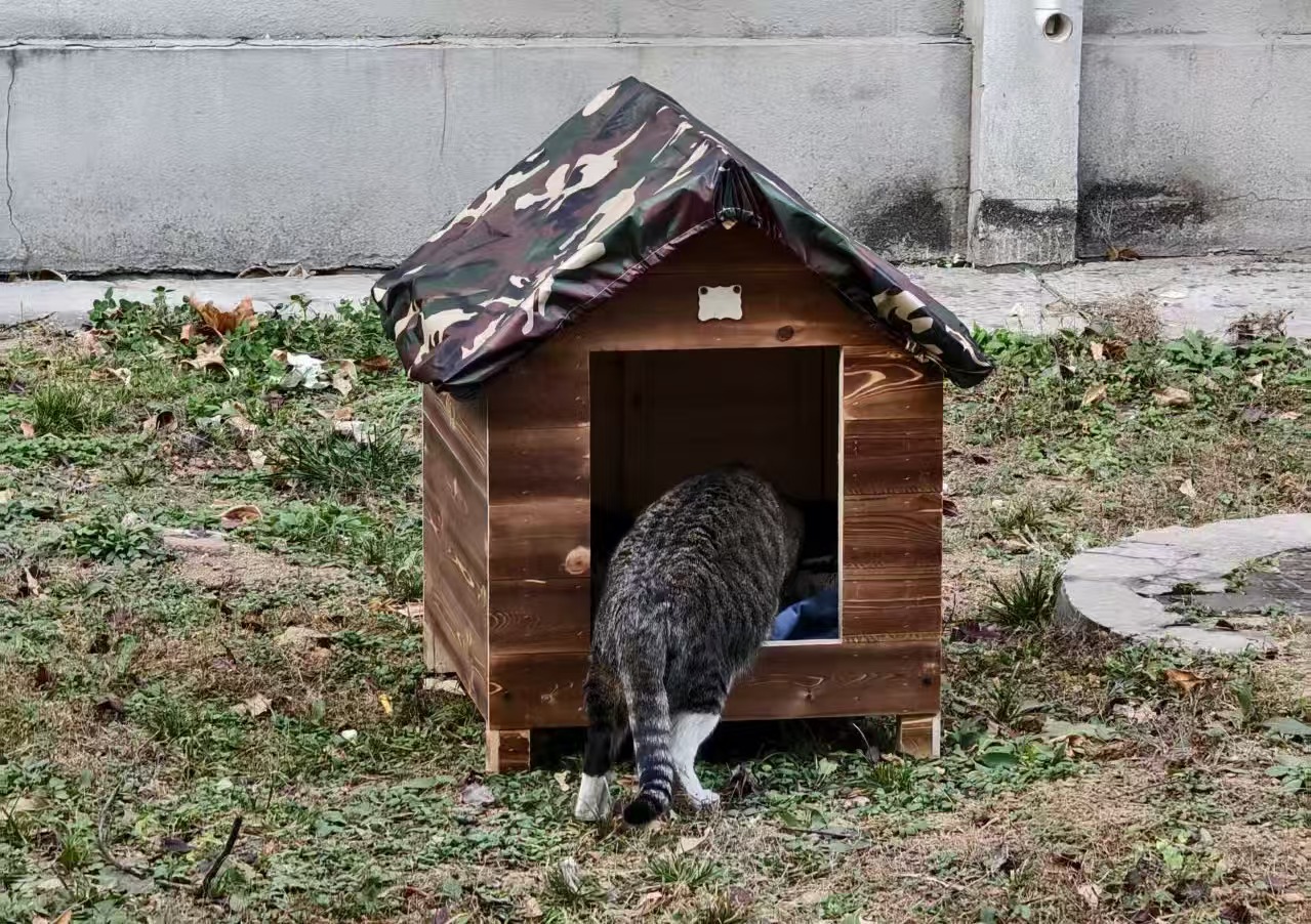 bevictor伟德官网