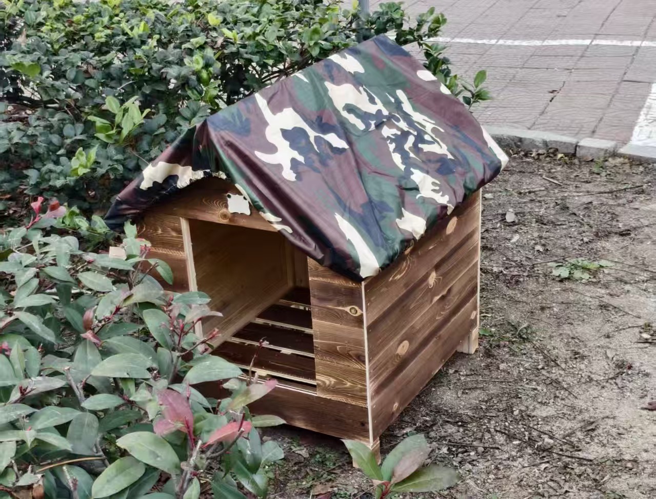 bevictor伟德官网