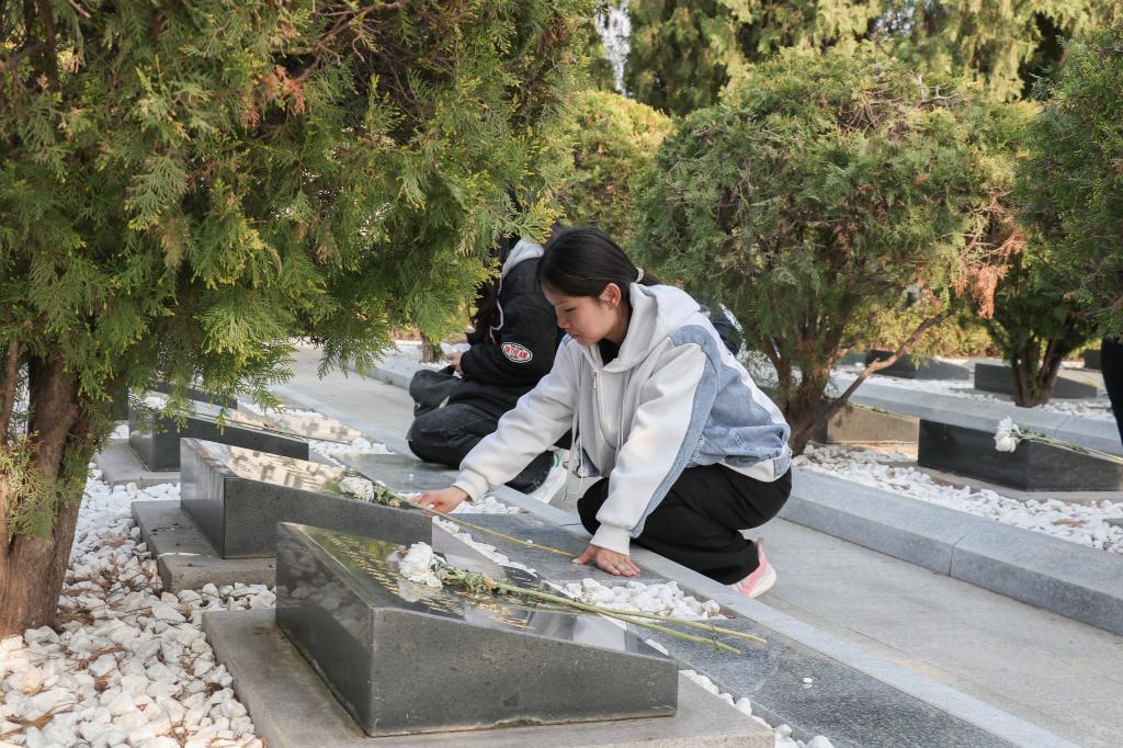 bevictor伟德官网